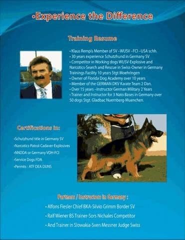 German Shepherd Dog puppies breeder image 12