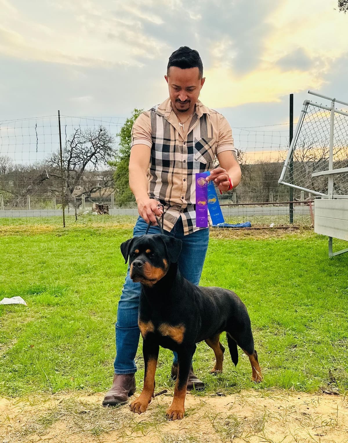 Rottweiler Puppies breeder image 1