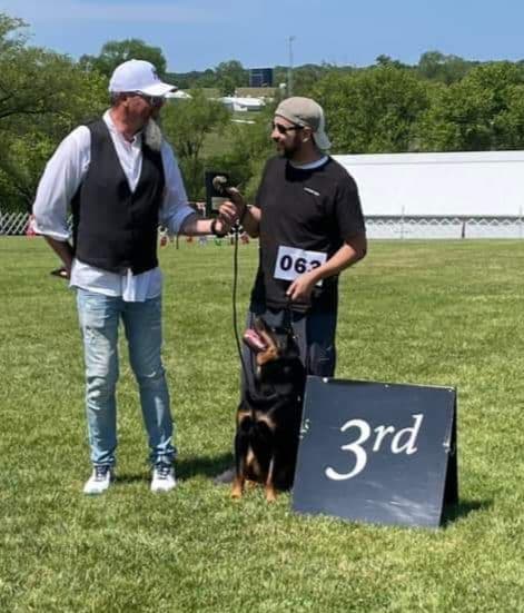 Rottweiler Puppies breeder image 2