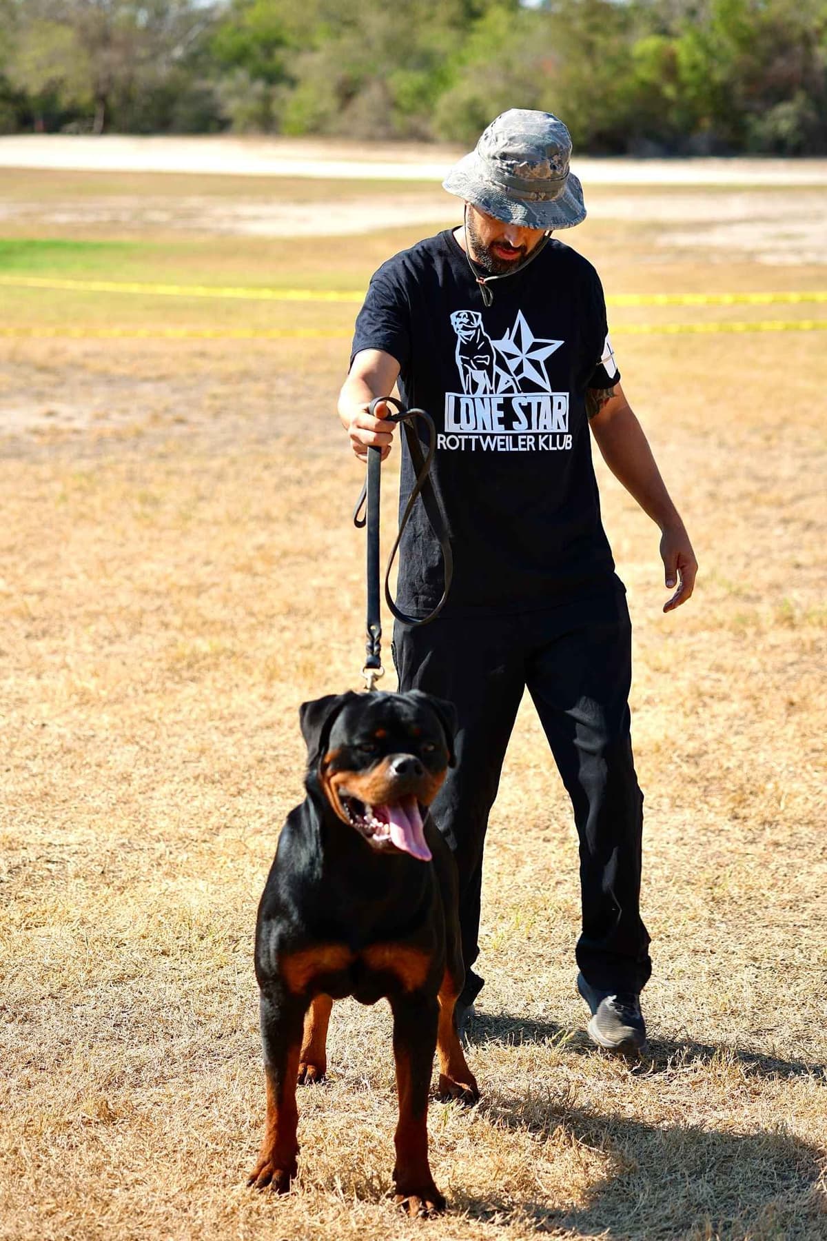 Rottweiler Puppies breeder image 11