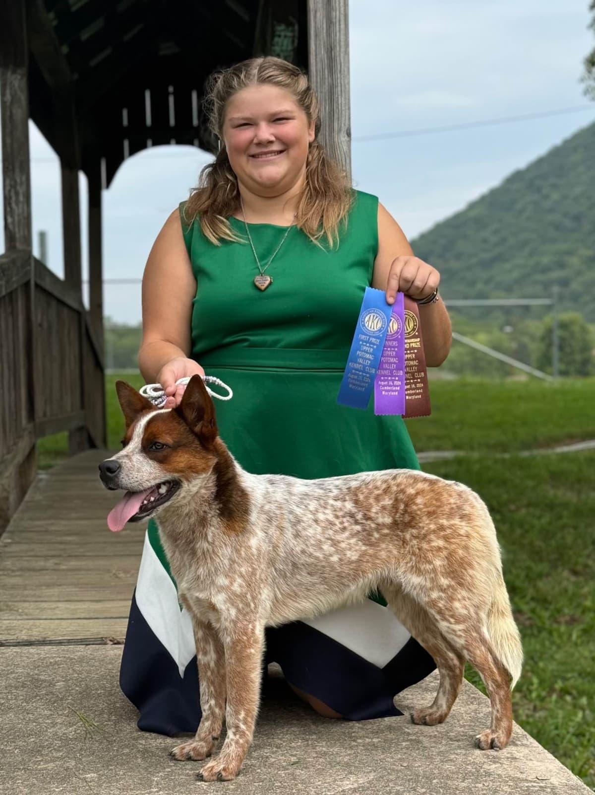 Australian Cattle Dog Puppies breeder image 16