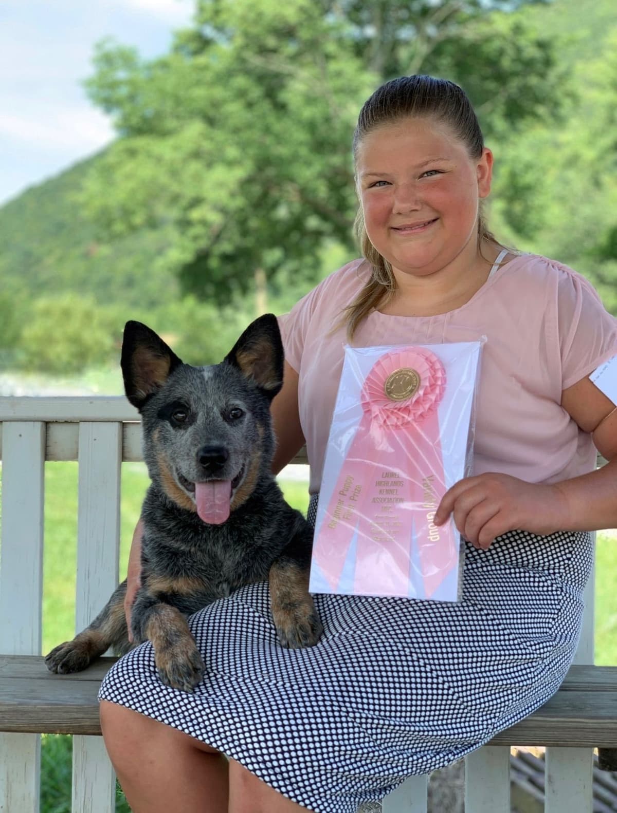 Australian Cattle Dog Puppies breeder image 18