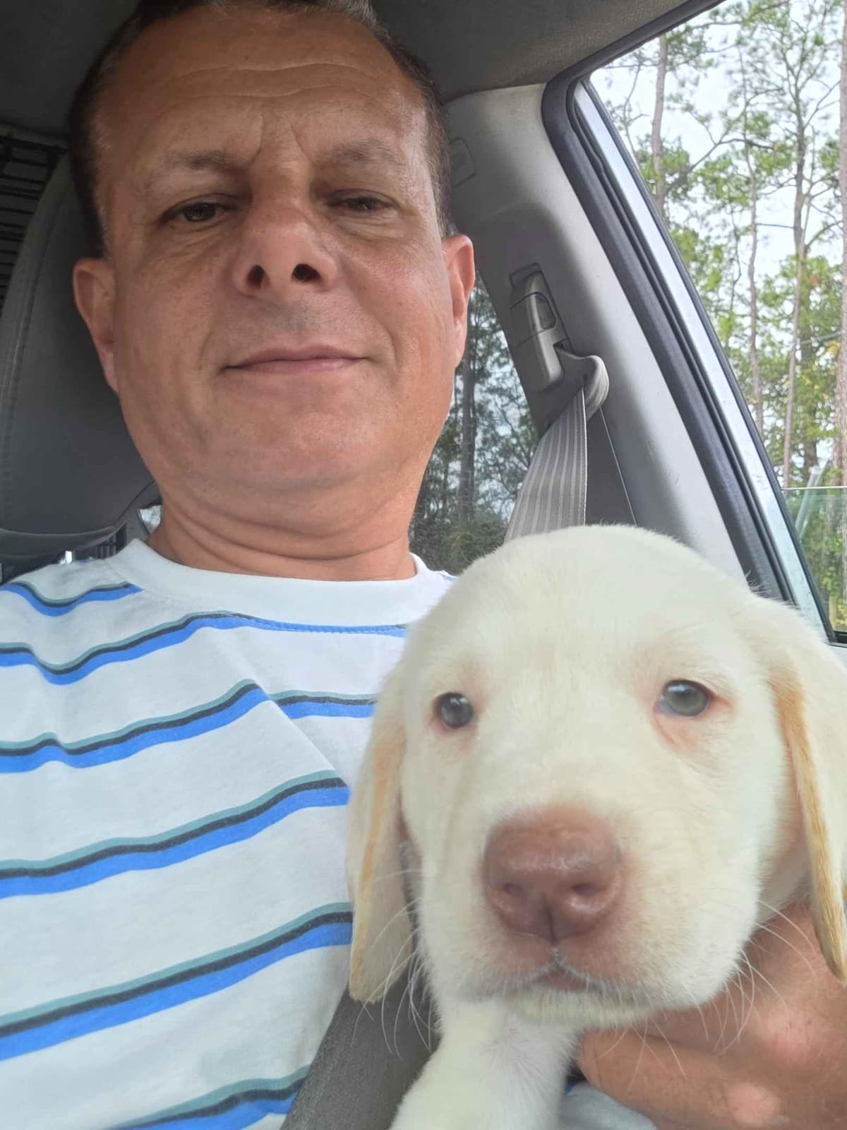 Labrador Retriever Puppies breeder image 1