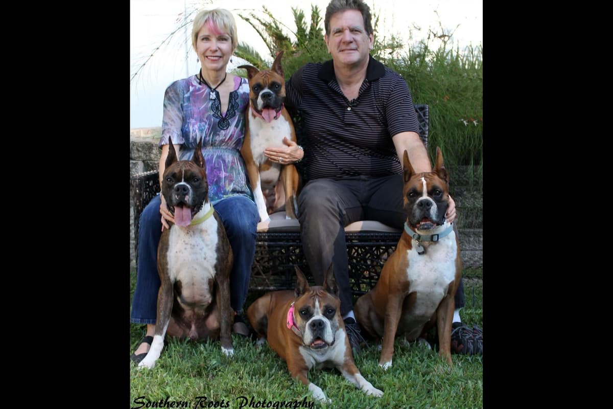 Boxer Puppies From An Experienced Breeder Focused On Longevity breeder image 2