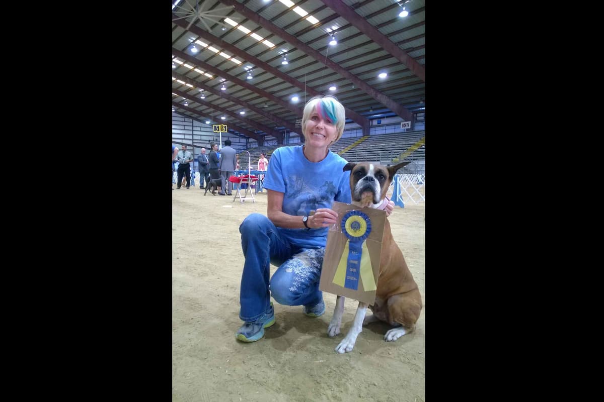 Boxer Puppies From An Experienced Breeder Focused On Longevity breeder image 19