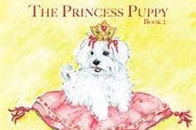 Maltese Male Puppy DRASTIC PRICE REDUCTION breeder image 5