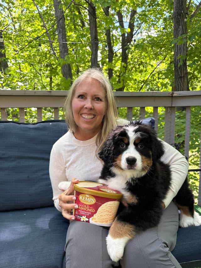 Bernese Mountain Dog Puppies media 14