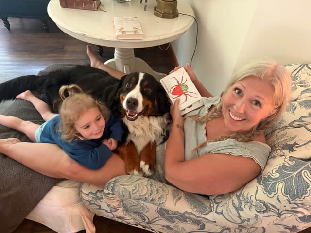 Bernese Mountain Dog Puppies media 2