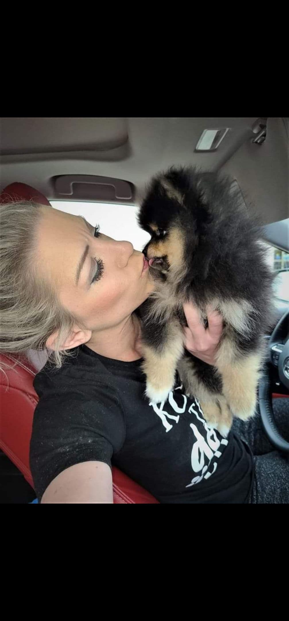Pomeranian Puppies White Females breeder image 4