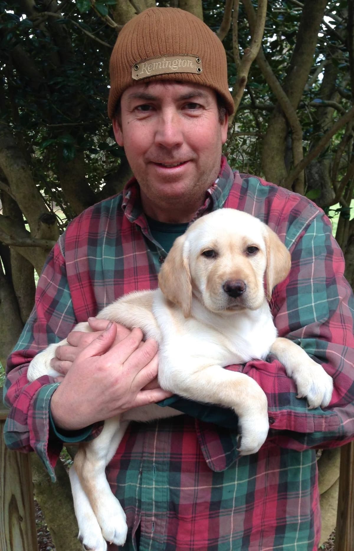 Adorable English Lab Puppies Ready for their Forever Home - See Pics!! breeder image 20