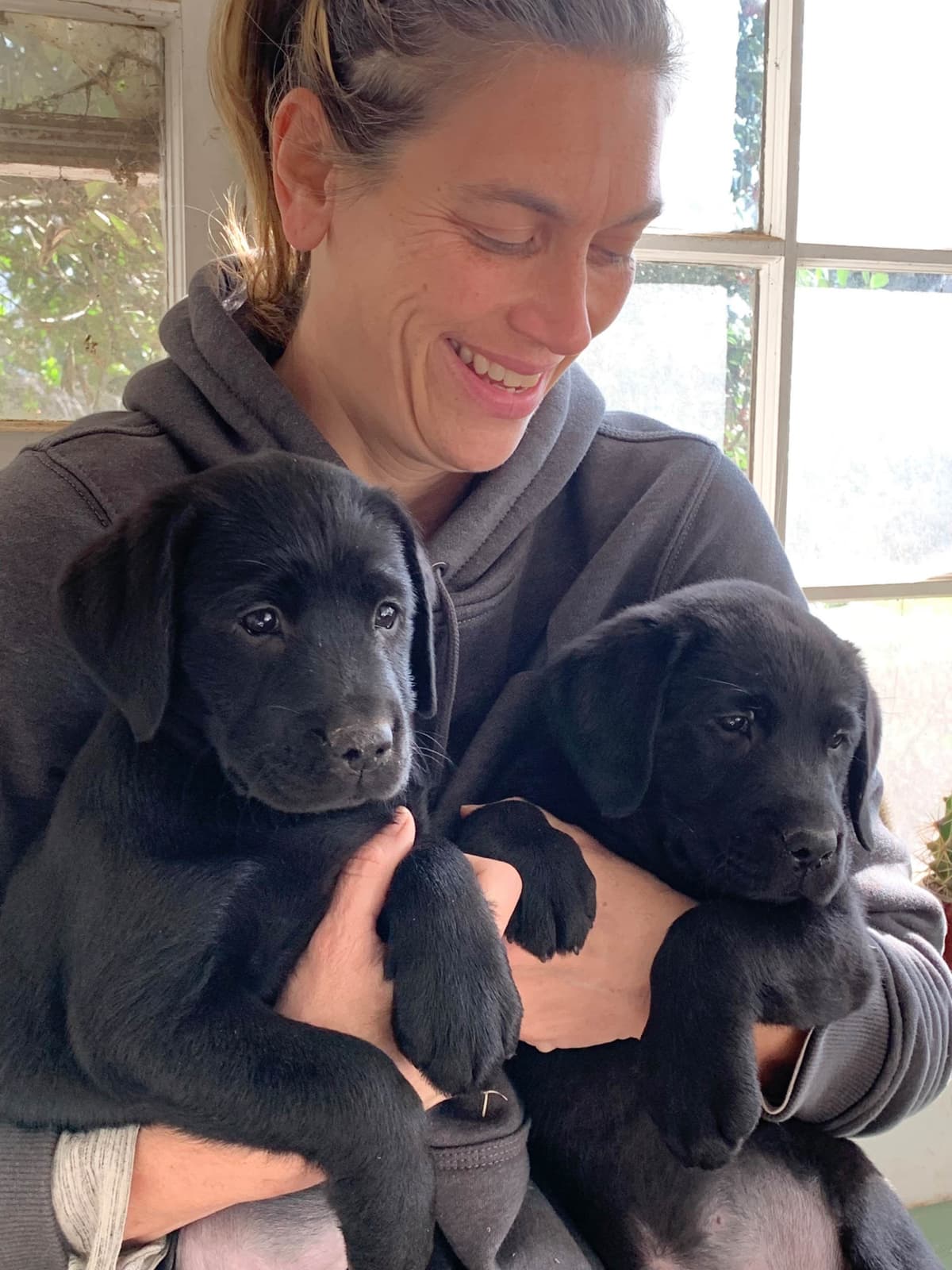 Adorable English Lab Puppies Ready for their Forever Home - See Pics!! breeder image 25