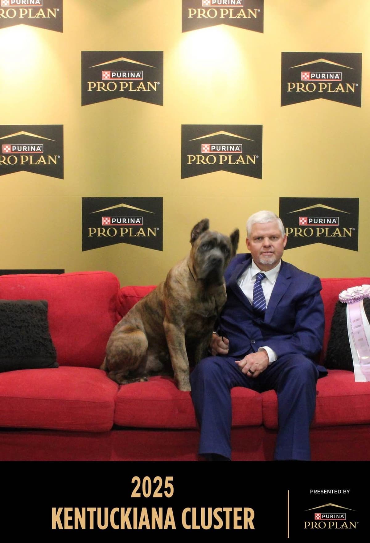 Cane Corso Puppies breeder image 2