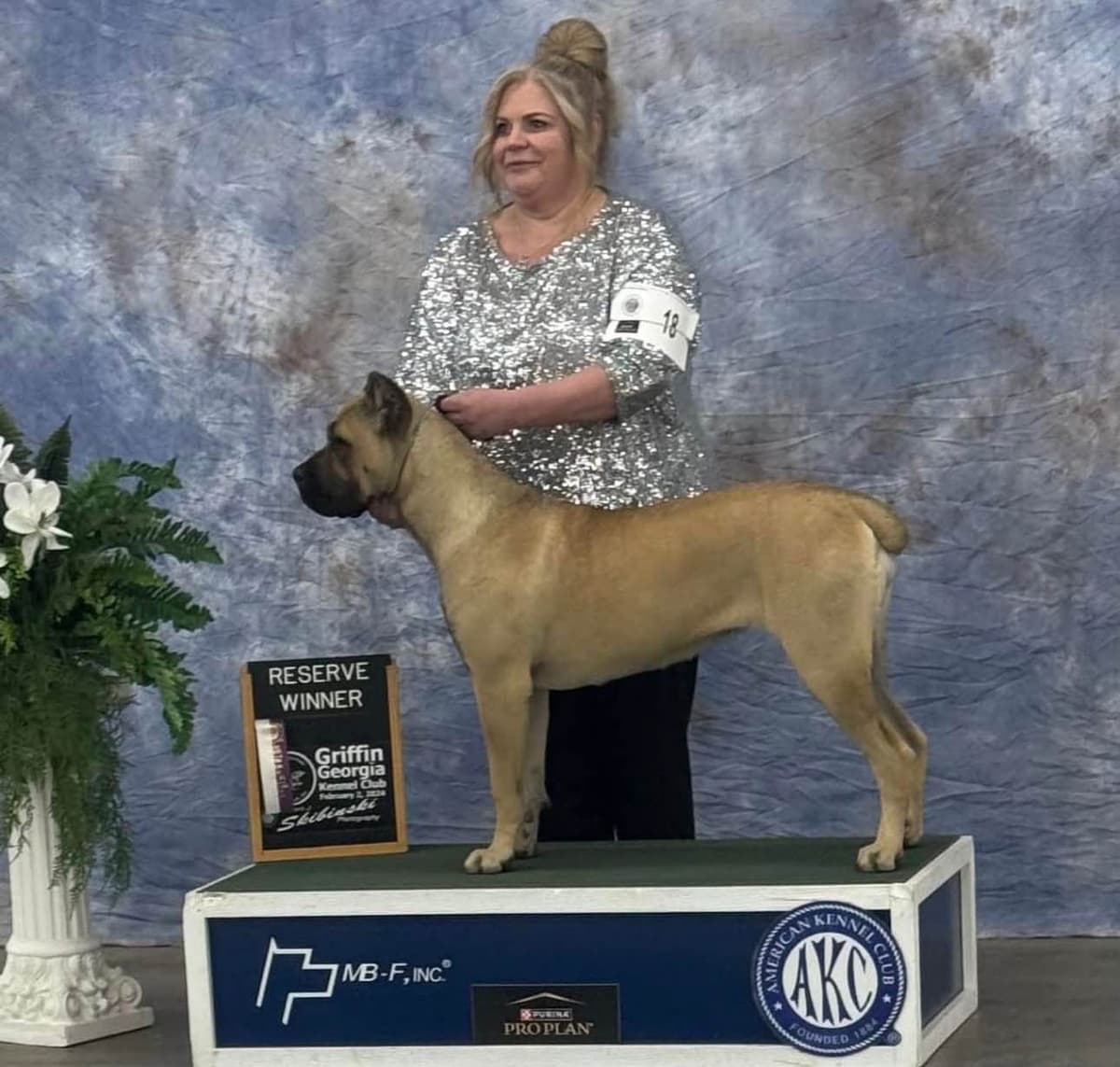 Cane Corso Puppies breeder image 12