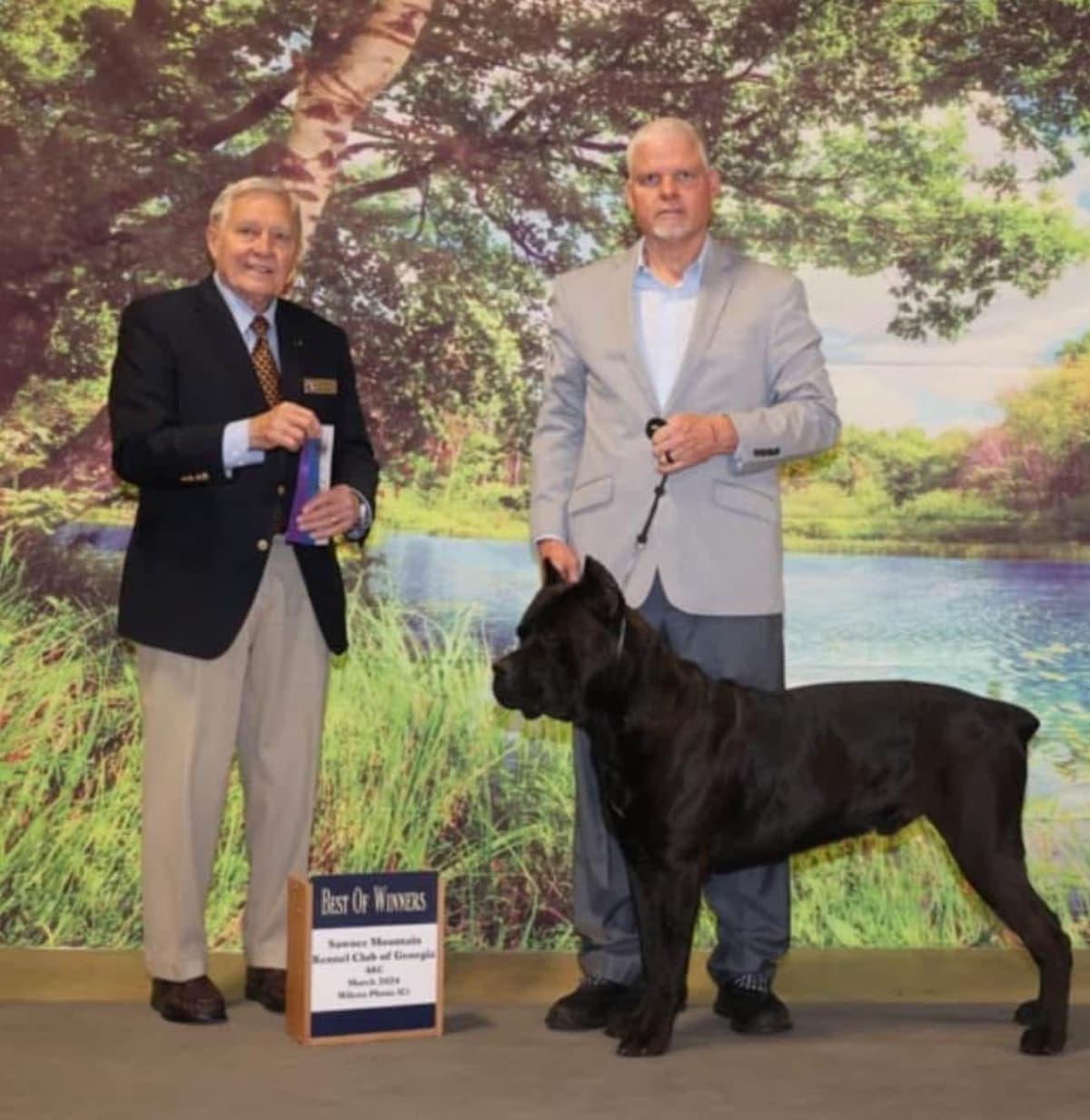Cane Corso Puppies breeder image 13