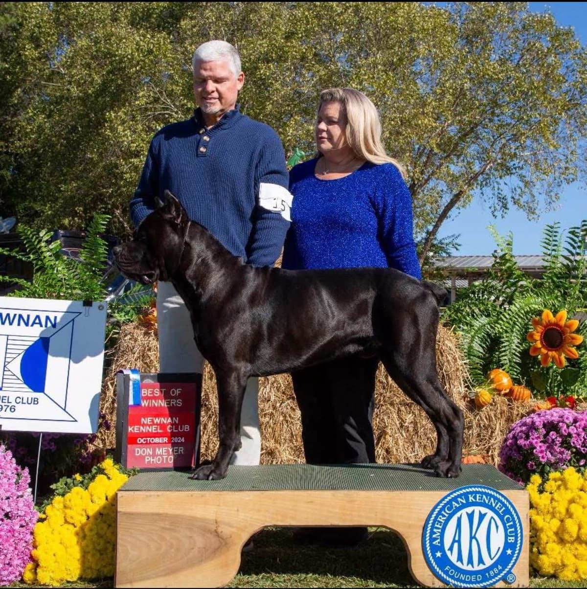 Cane Corso Puppies breeder image 14