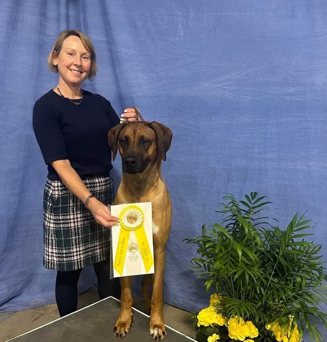 Rhodesian Ridgeback Puppies media 2