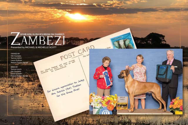 Rhodesian Ridgeback Puppies media 5