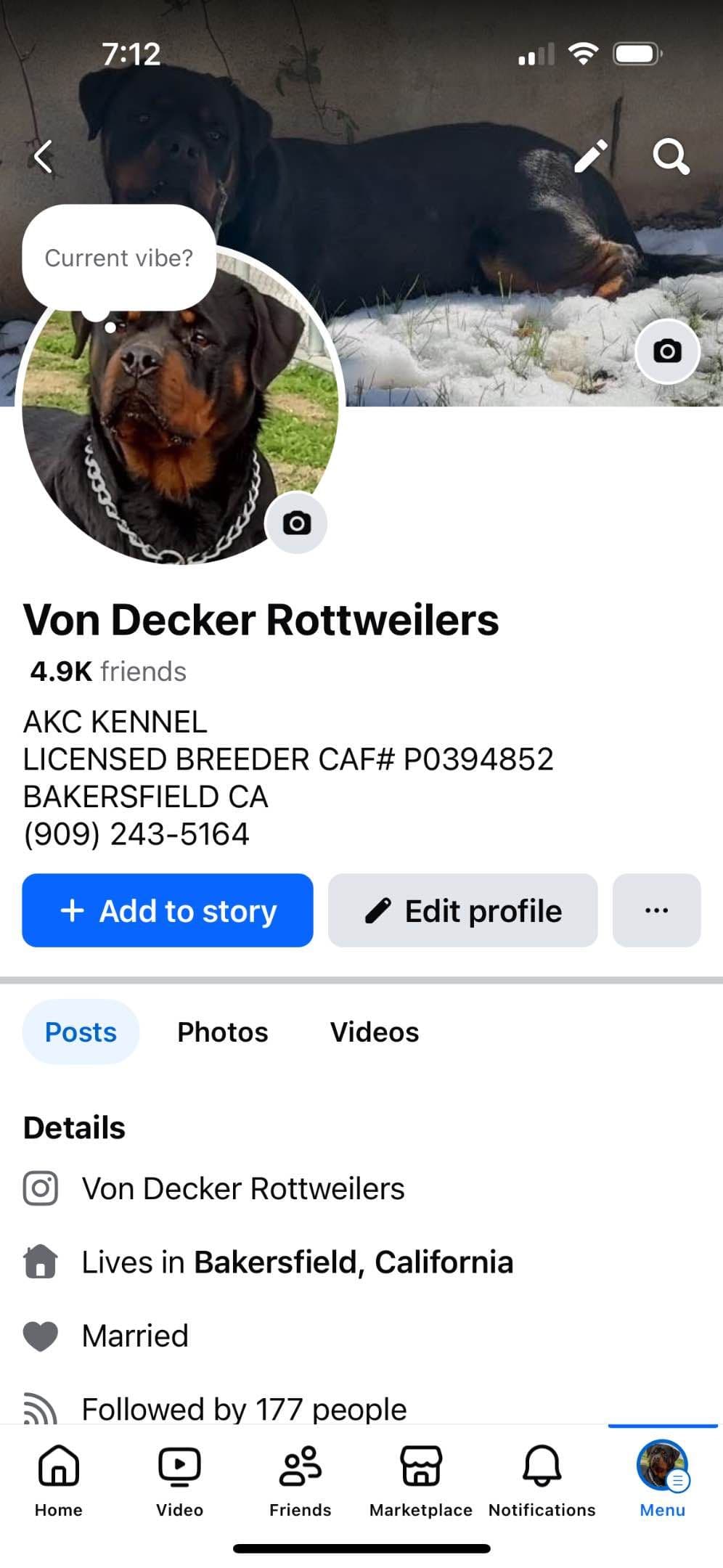 Rottweiler Puppies breeder image 22