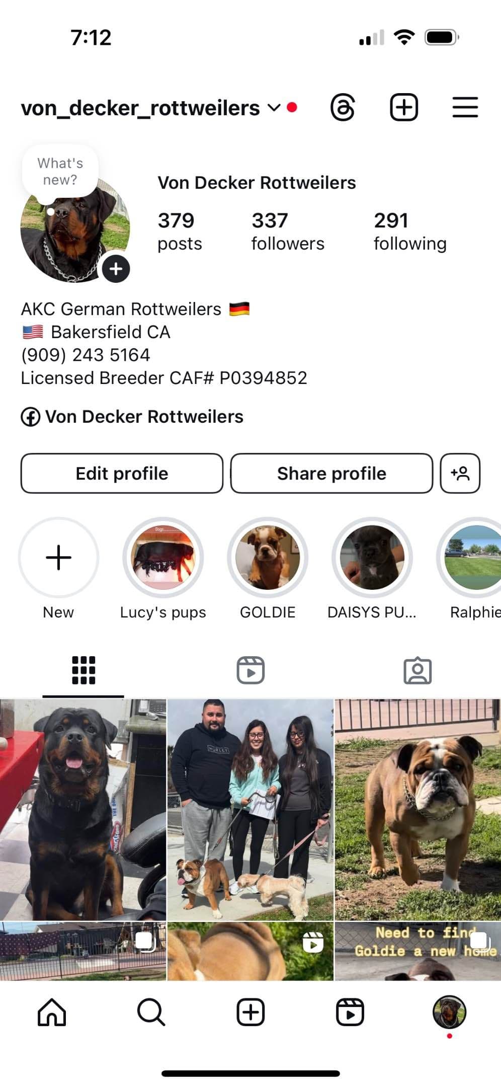 Rottweiler Puppies breeder image 23