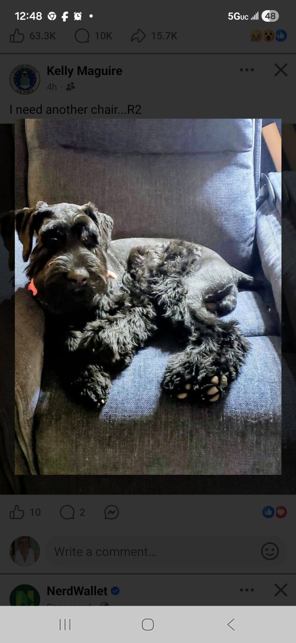 Giant Schnauzer Puppies breeder image 4