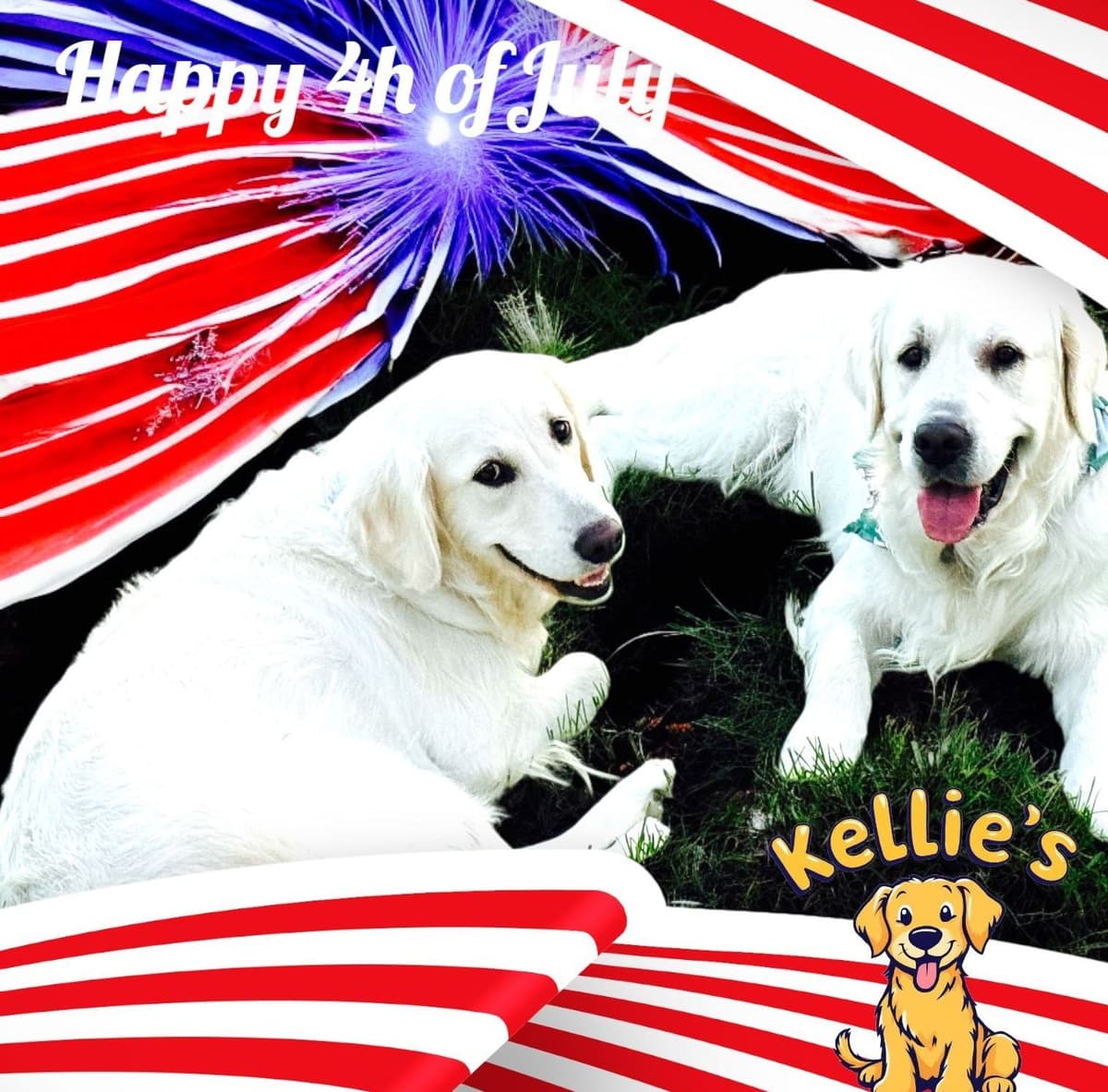 Golden Retriever Puppies breeder image 1
