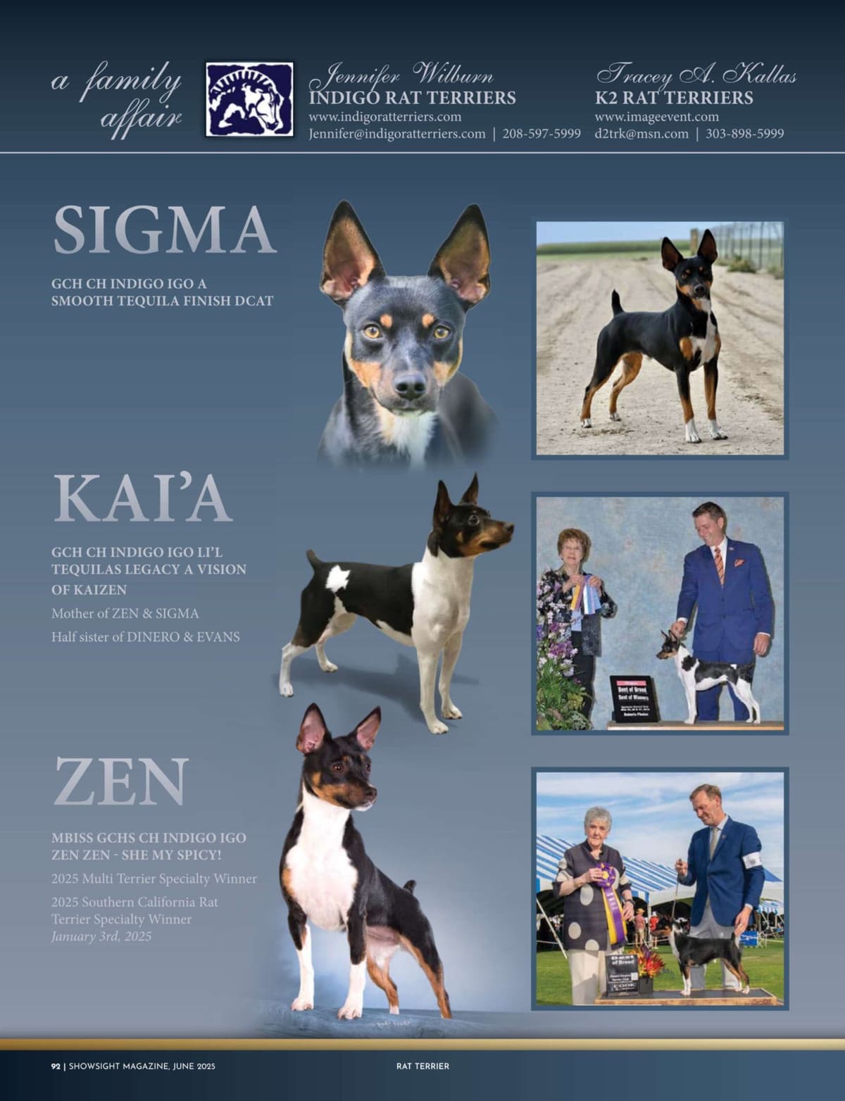 Rat Terrier Puppies breeder image 9