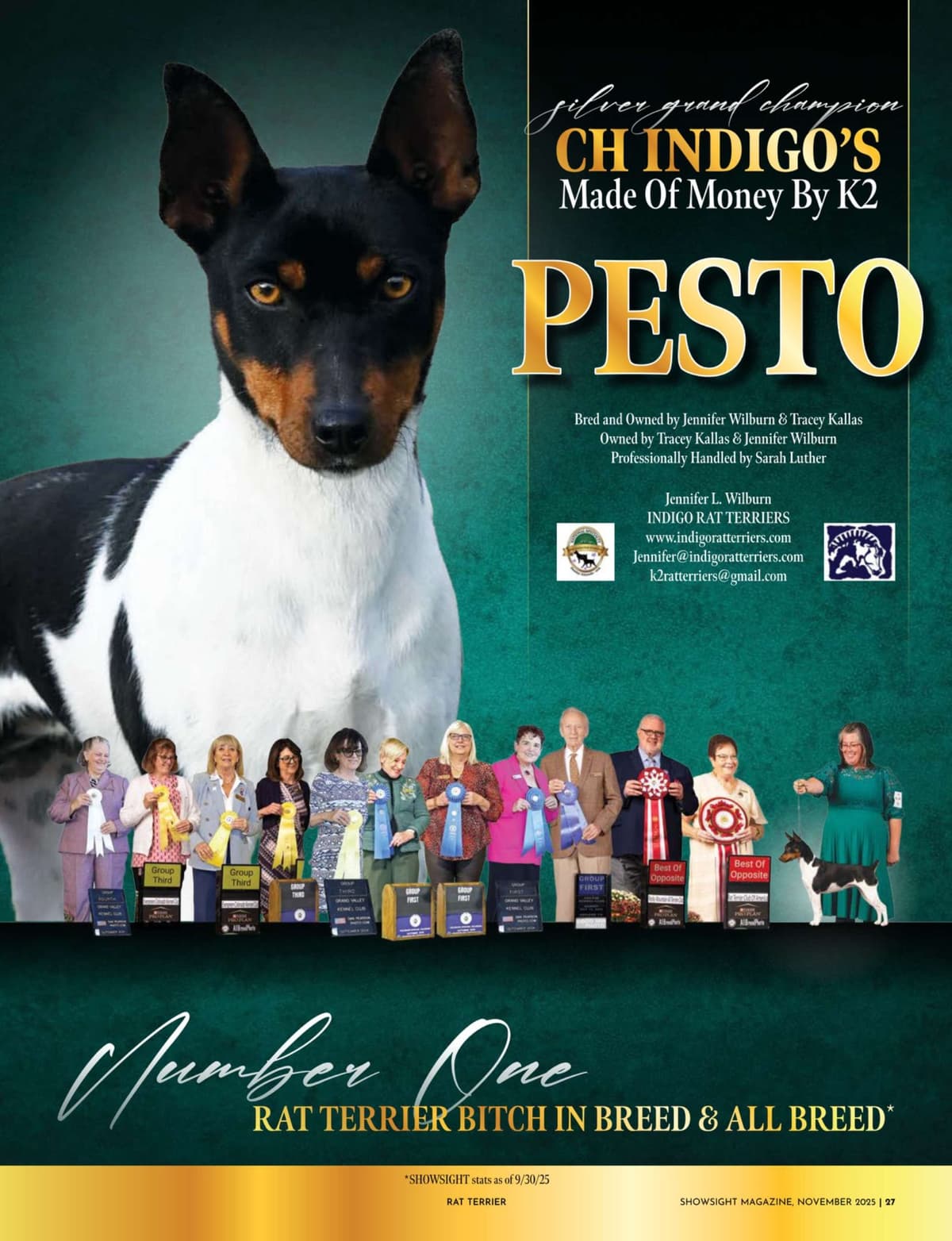 Rat Terrier Puppies breeder image 2