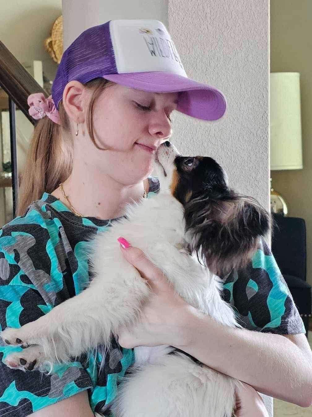 Papillon Puppies breeder image 4