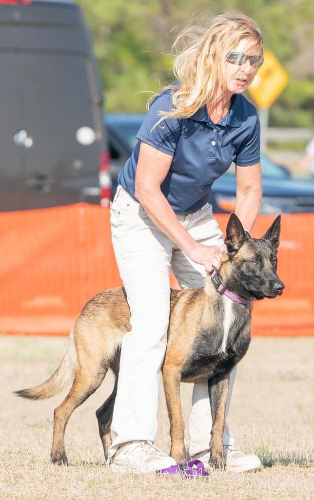 Belgian Malinois Puppies breeder image 8