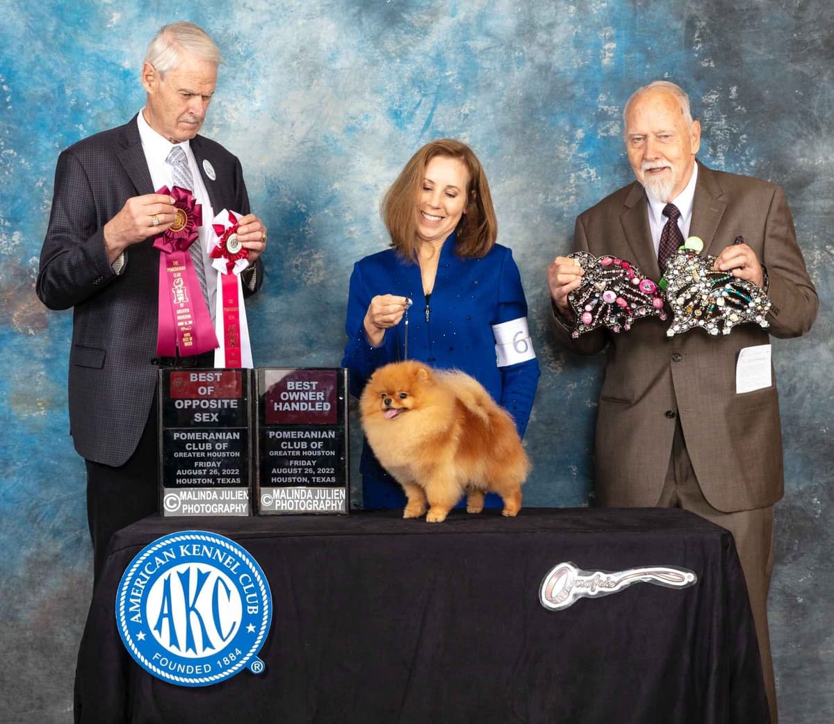 Pomeranian Puppies from Champion lines breeder image 2