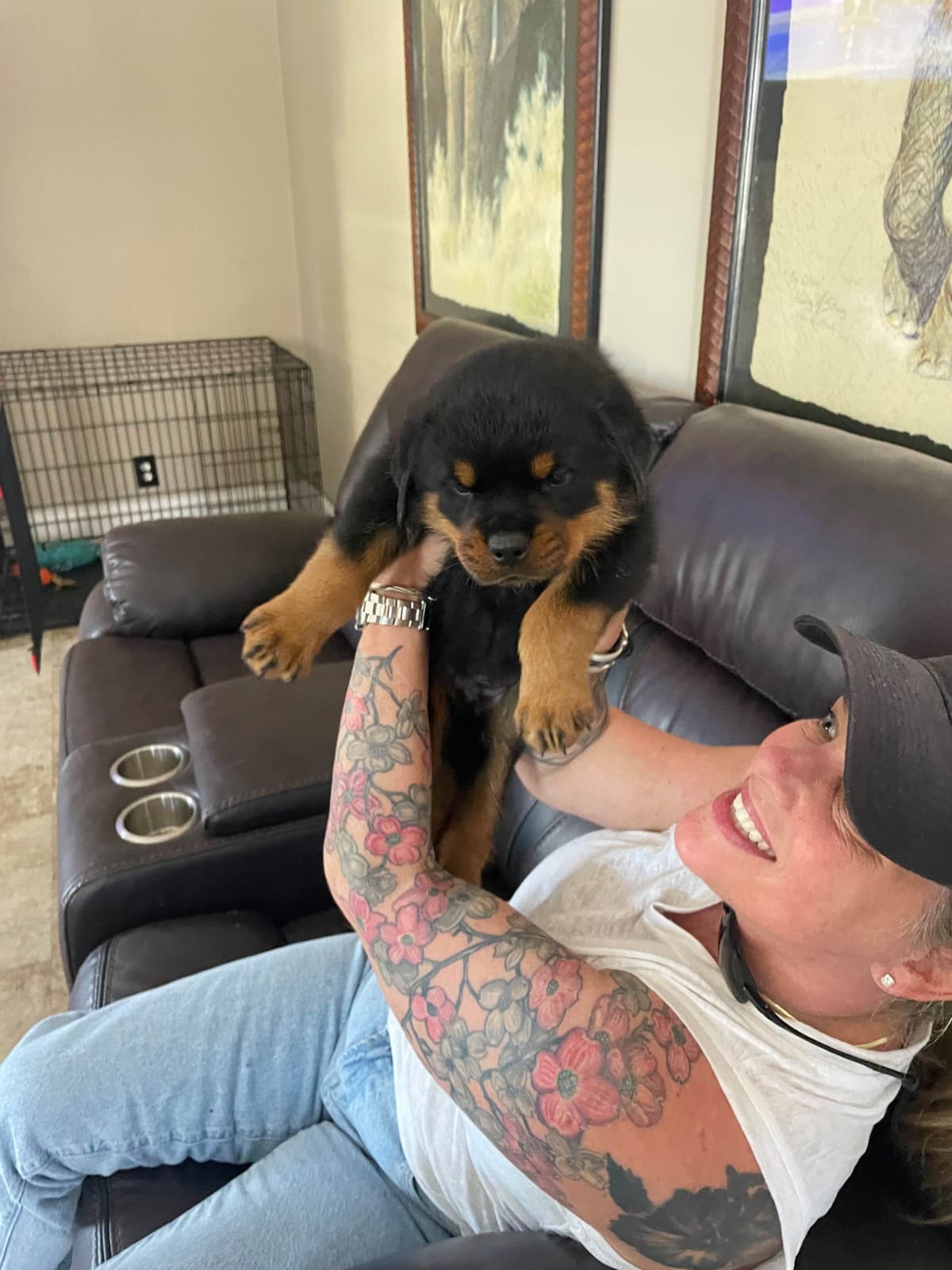 Rottweiler Puppies breeder image 2