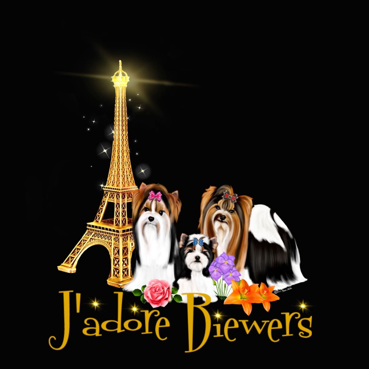 Biewer Terrier Puppies breeder image 1
