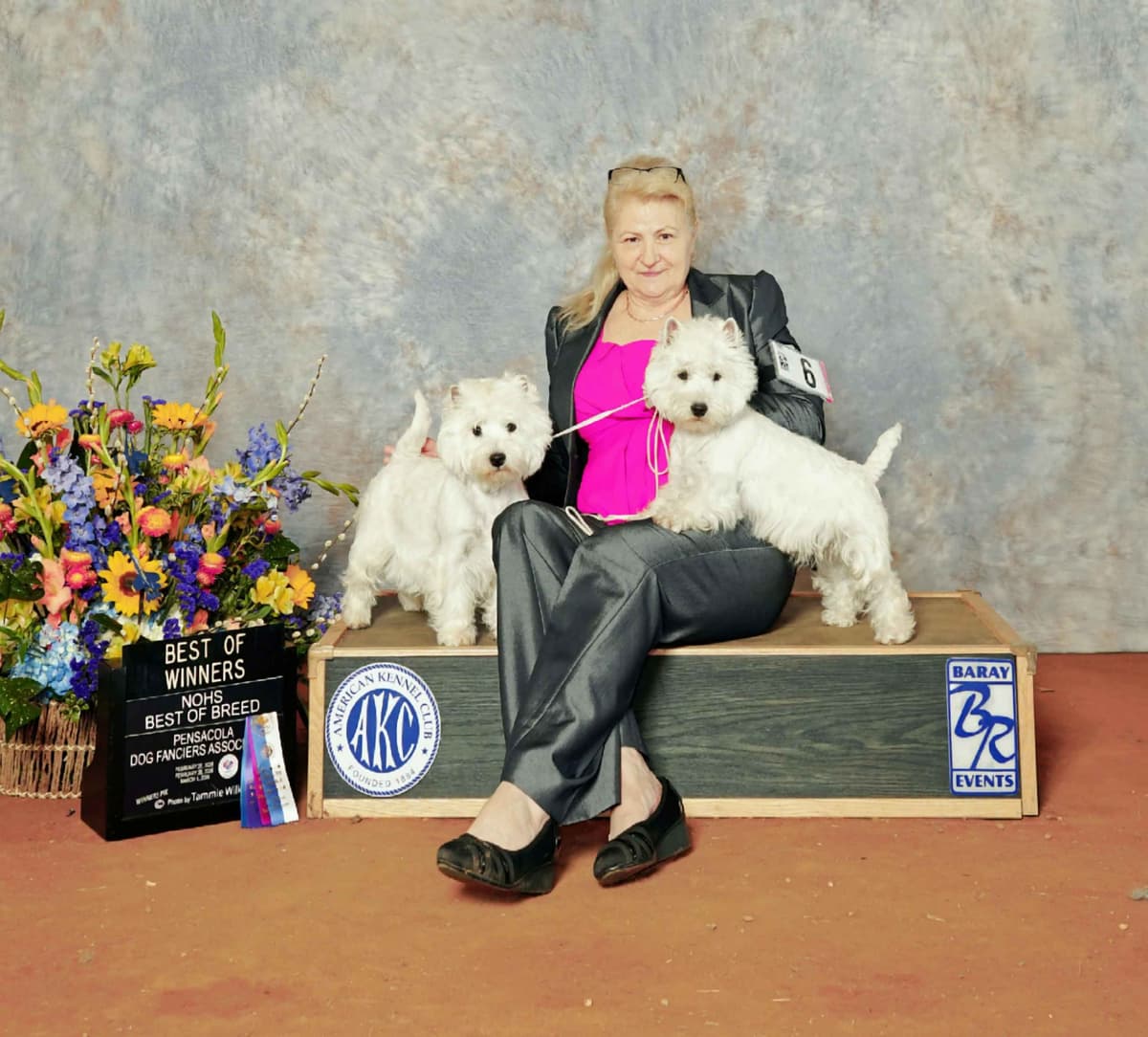 West Highland White Terrier Puppies breeder image 1