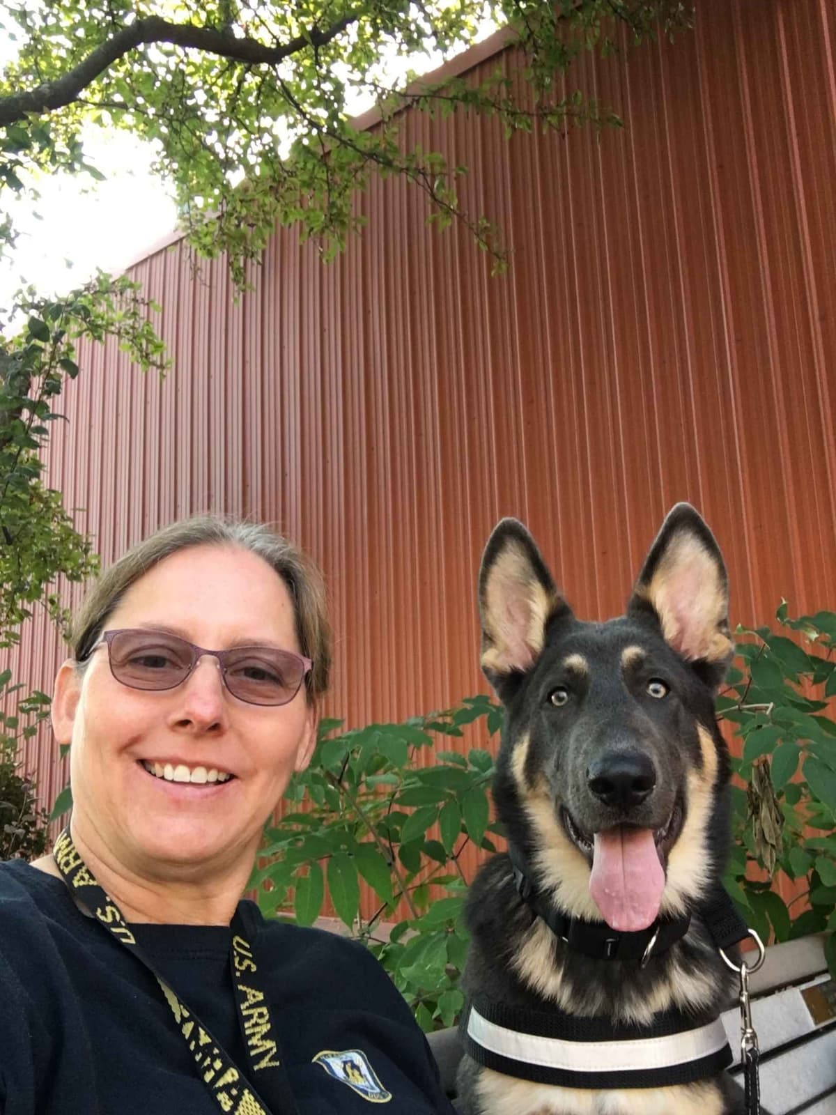 German Shepherd Dog Puppies breeder image 1