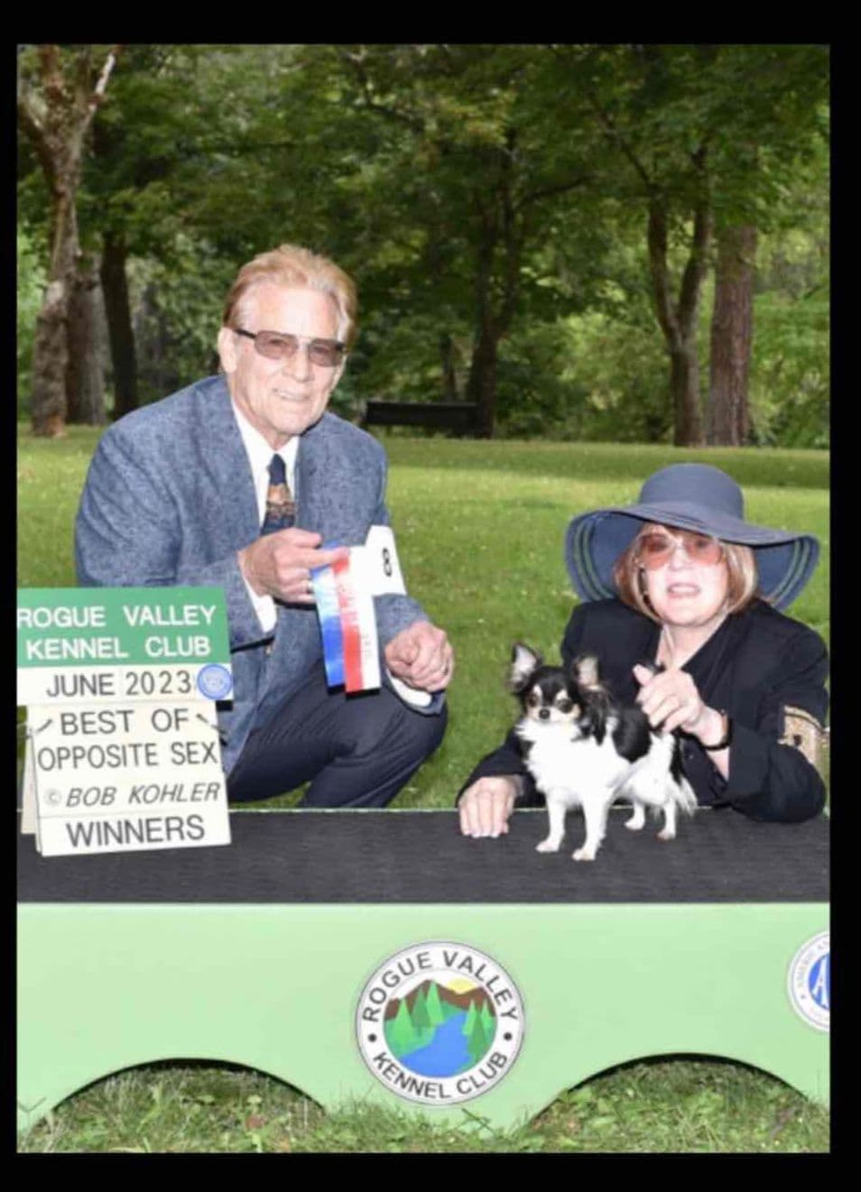 AKC Chihuahua Puppies Long and Smooth breeder image 3