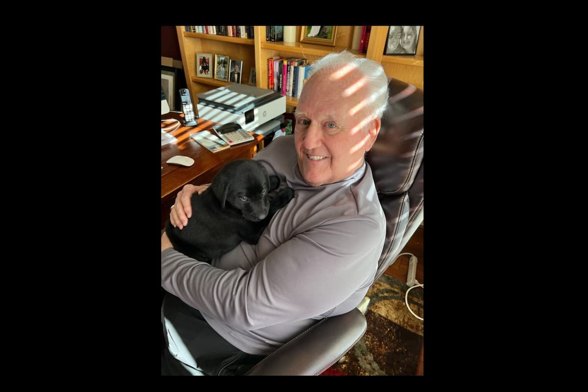 Beautiful Black Male Lab 602 423-0037 breeder image 77