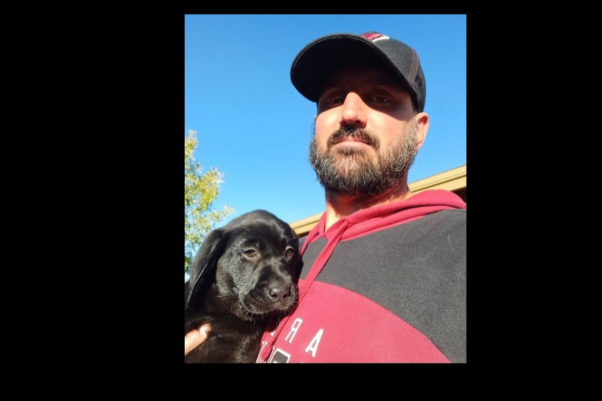 Beautiful Black Male Lab 602 423-0037 breeder image 83