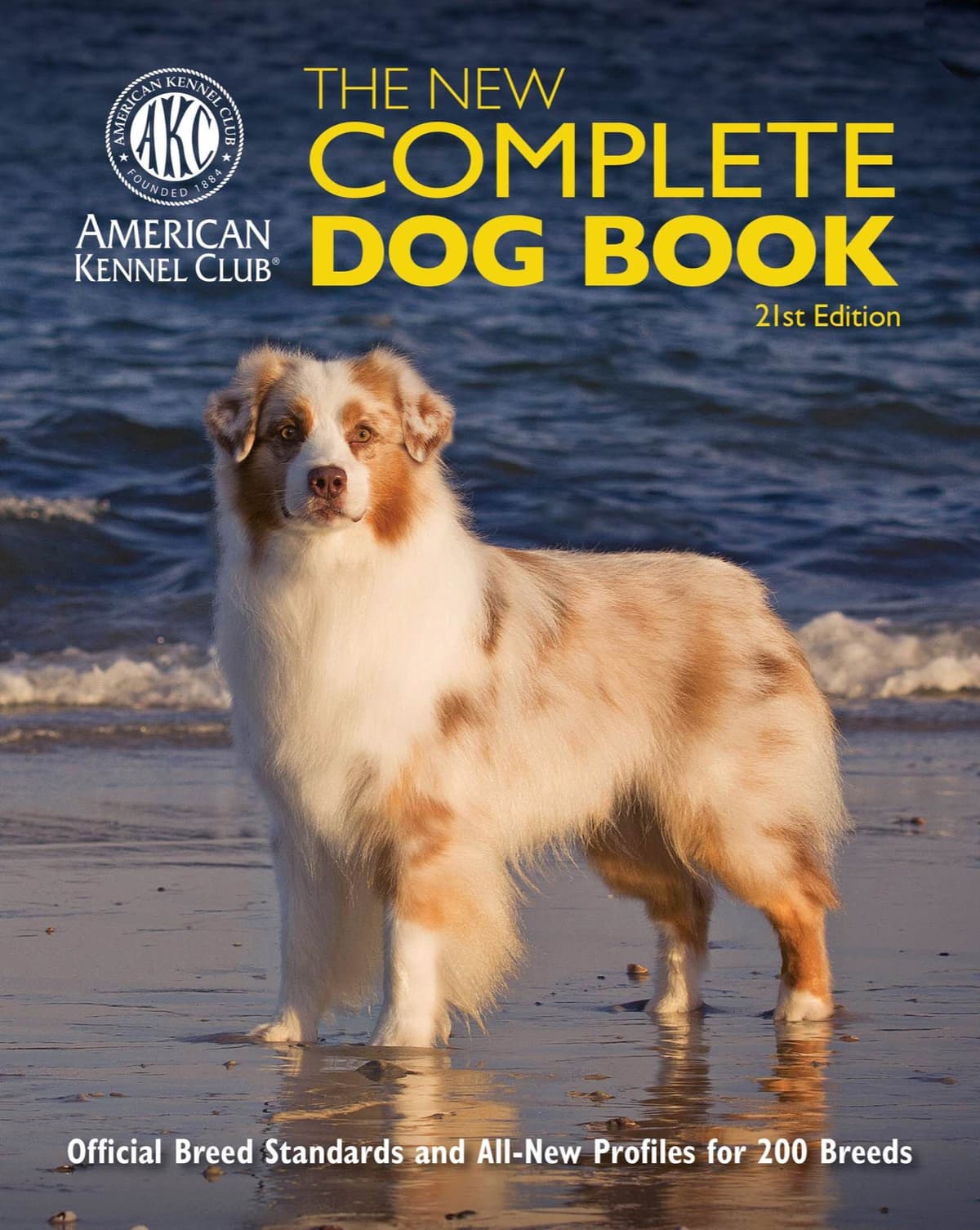 Australian Shepherd Puppies Available in Pennsylvania breeder image 1