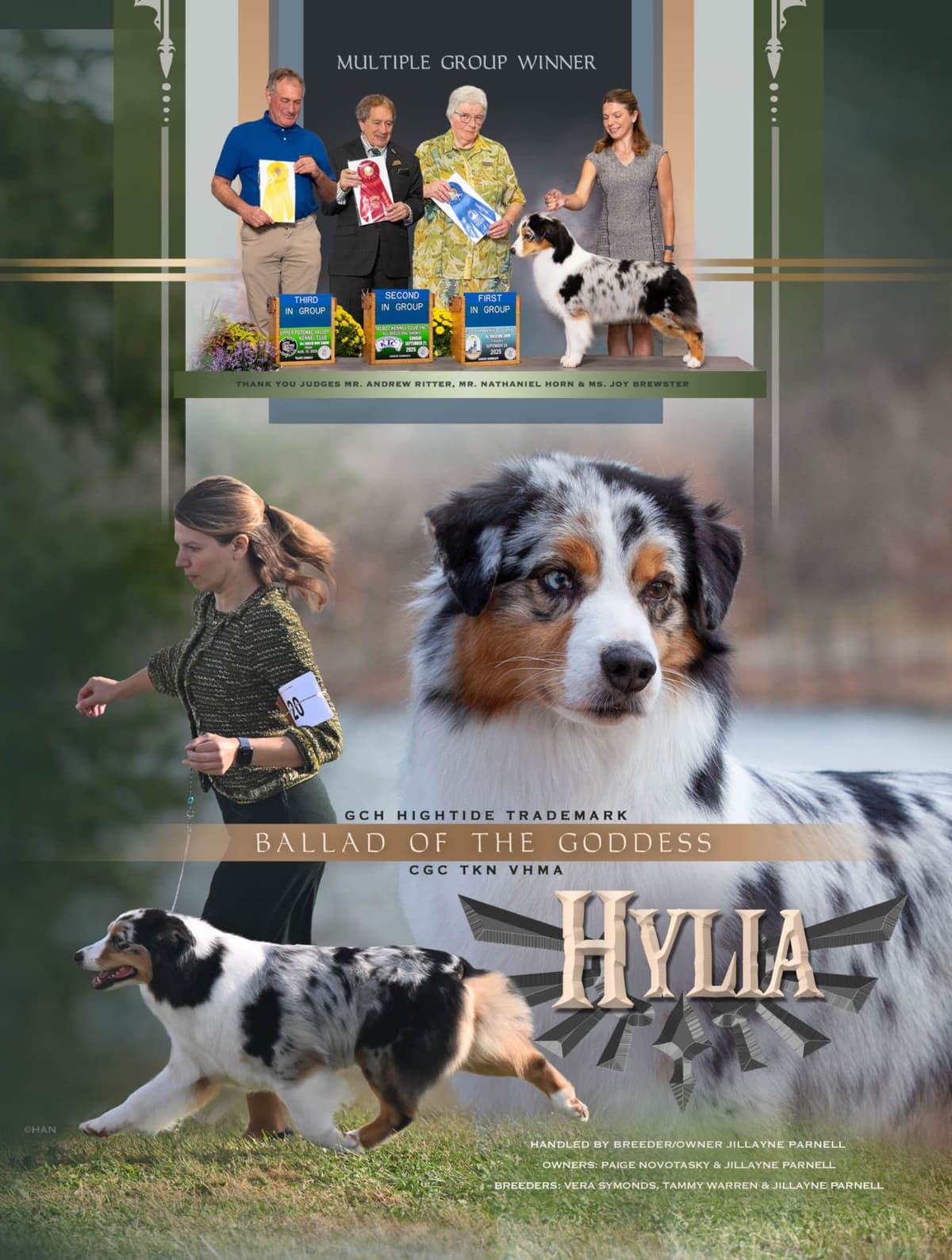 Australian Shepherd Puppies Available in Pennsylvania breeder image 5