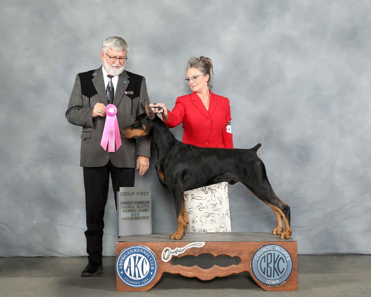 Doberman Pinscher Puppies breeder image 4