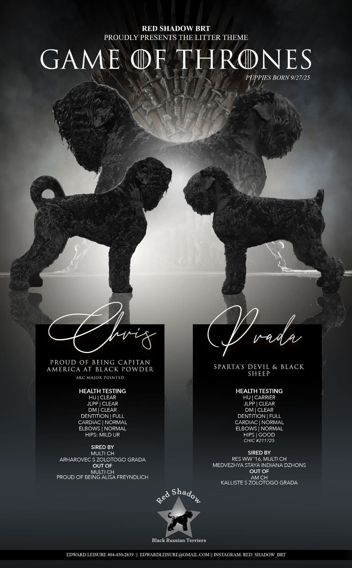 Black Russian Terrier Puppies breeder image 1