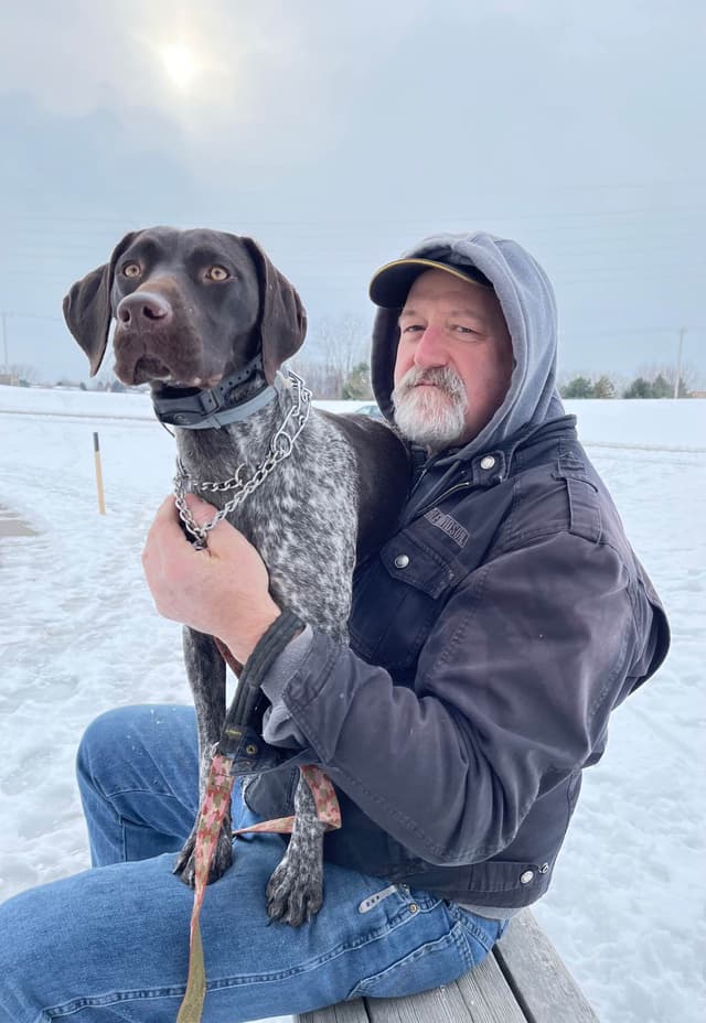 German Shorthaired Pointer Puppies media 4