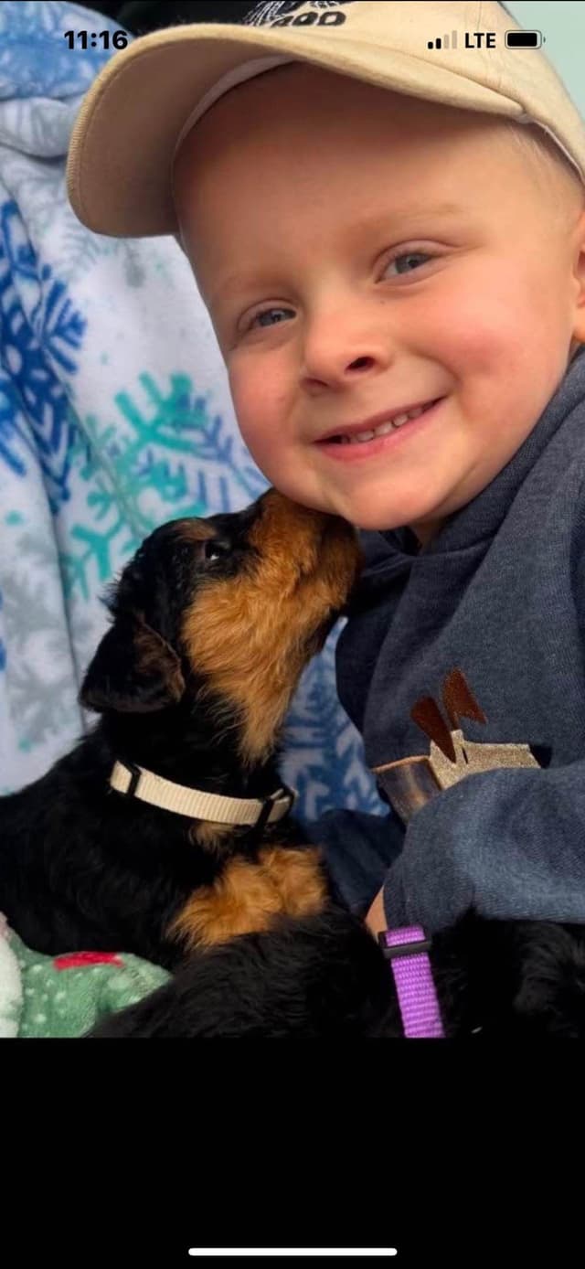 These have found their forever homes! NEXT  LITTER 11/26 media 8