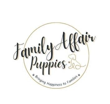 Golden Retriever Puppies breeder image 1