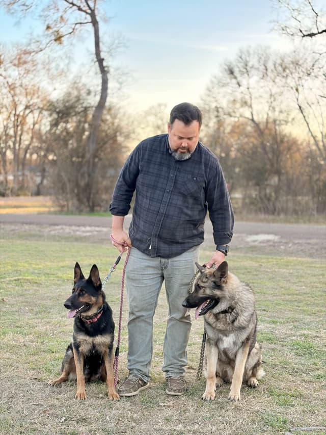 German Shepherd Dog Puppies media 4
