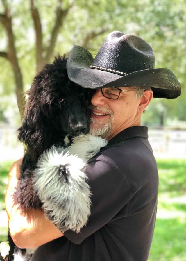 Part- Poodle  TUXEDO Puppies media 5