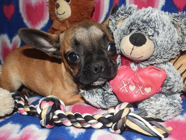 As Of 4/21/26 1 Girl Left CALL NOW BEFORE SHE IS TAKEN 603-487-3573!! media 7