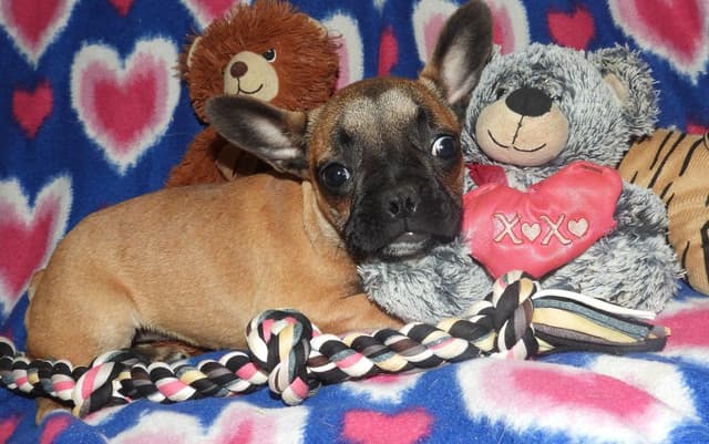 As Of 4/21/26 1 Girl Left CALL NOW BEFORE SHE IS TAKEN 603-487-3573!! media 8