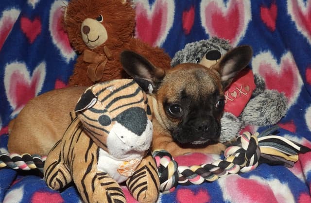 As Of 4/21/26 1 Girl Left CALL NOW BEFORE SHE IS TAKEN 603-487-3573!! media 9