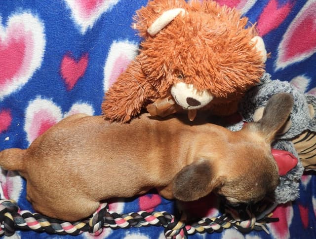 As Of 4/21/26 1 Girl Left CALL NOW BEFORE SHE IS TAKEN 603-487-3573!! media 10